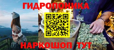 прущие крисы Тулун