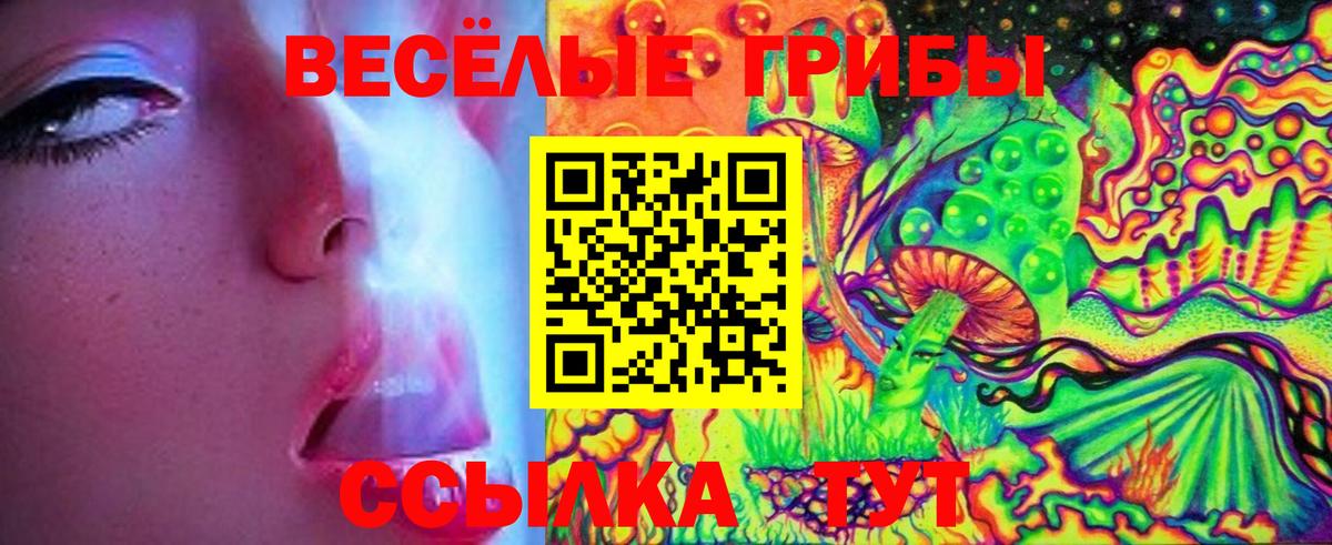 Галлюциногенные грибы мицелий  Вход с VPN  Мурманск 