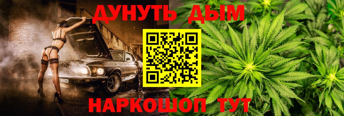 Шишки марихуана сатива  Вход с VPN  Мурманск  Марихуана White Widow  Шишки марихуана Bruce Banner 
